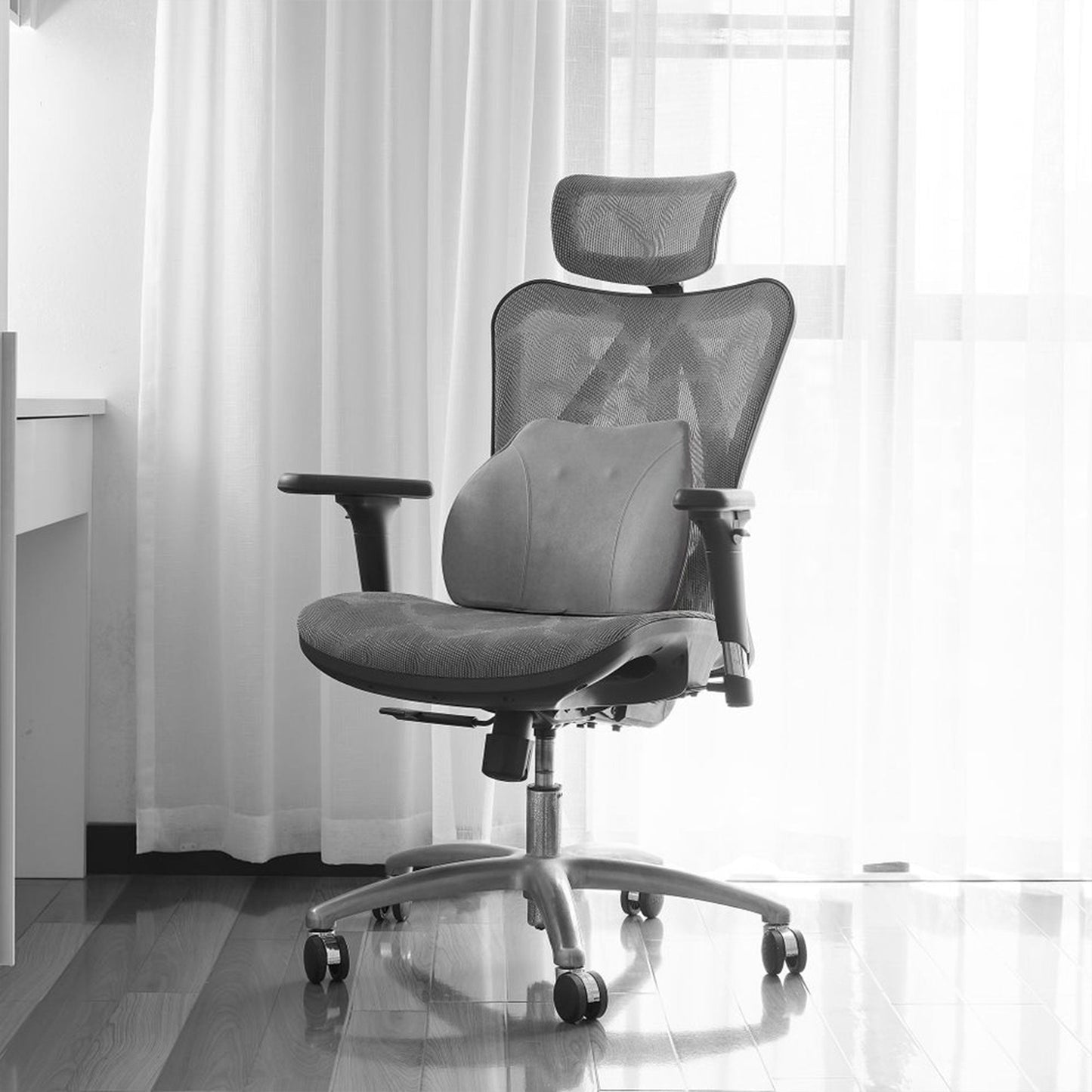 WENNEBIRD Model Q Lumbar Memory Foam Support Pillow to Improve Posture, Grey