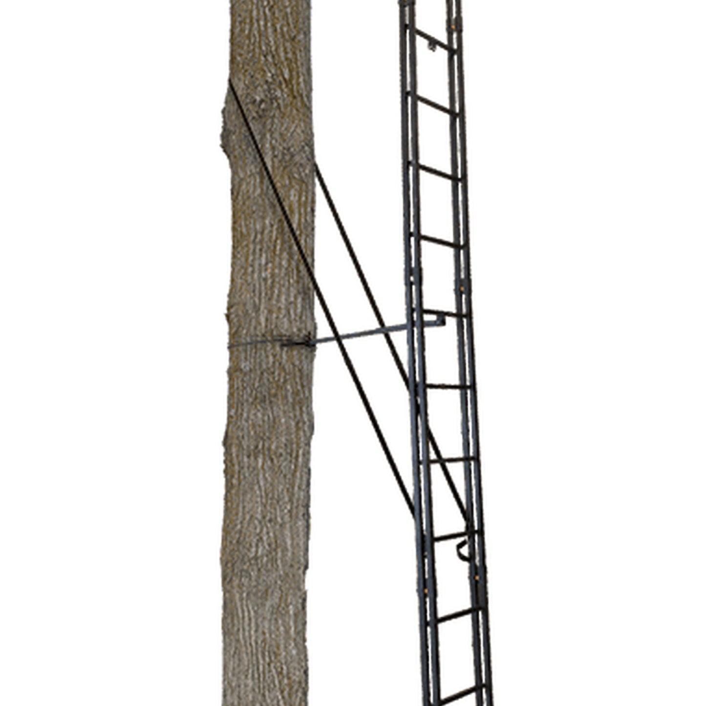 Muddy The Skybox 20 Foot 1 Person Hunting Deer Ladder Tree Stand, Black (2 Pack)