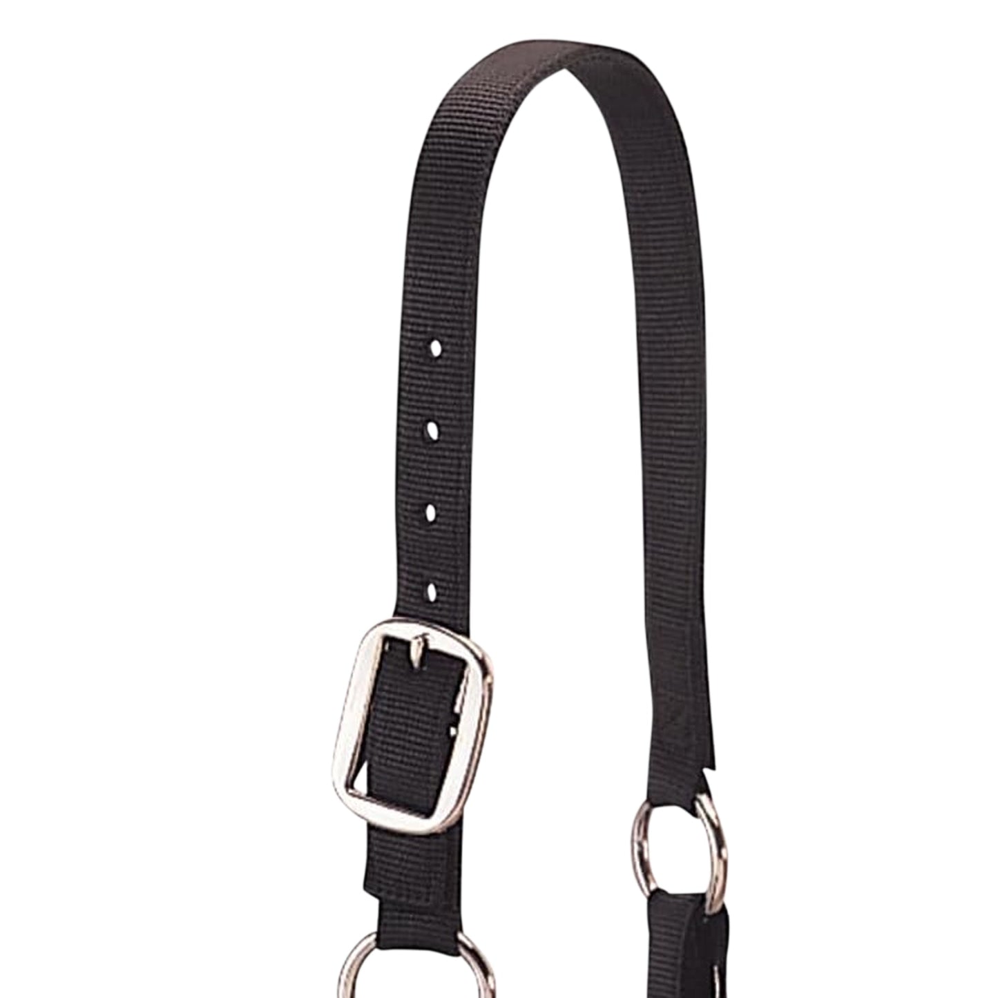 Weaver Leather Medium Cattle Halter with Double Stitched Nylon and Chin Choker