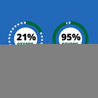 Boost Oxygen Natural Portable 10 Liter Oxygen Canister, Grapefruit (12 Pack)