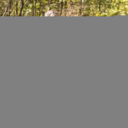 Hawk Helium XL Hang-On Treestand, Ultimate Large and Lightweight Stand, Grey