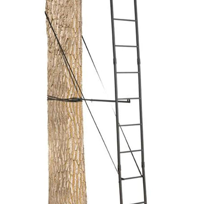 Big Game The Big Buddy Deer Hunting Ladder Climbing Tree Stand w/Flex-Tek Seat