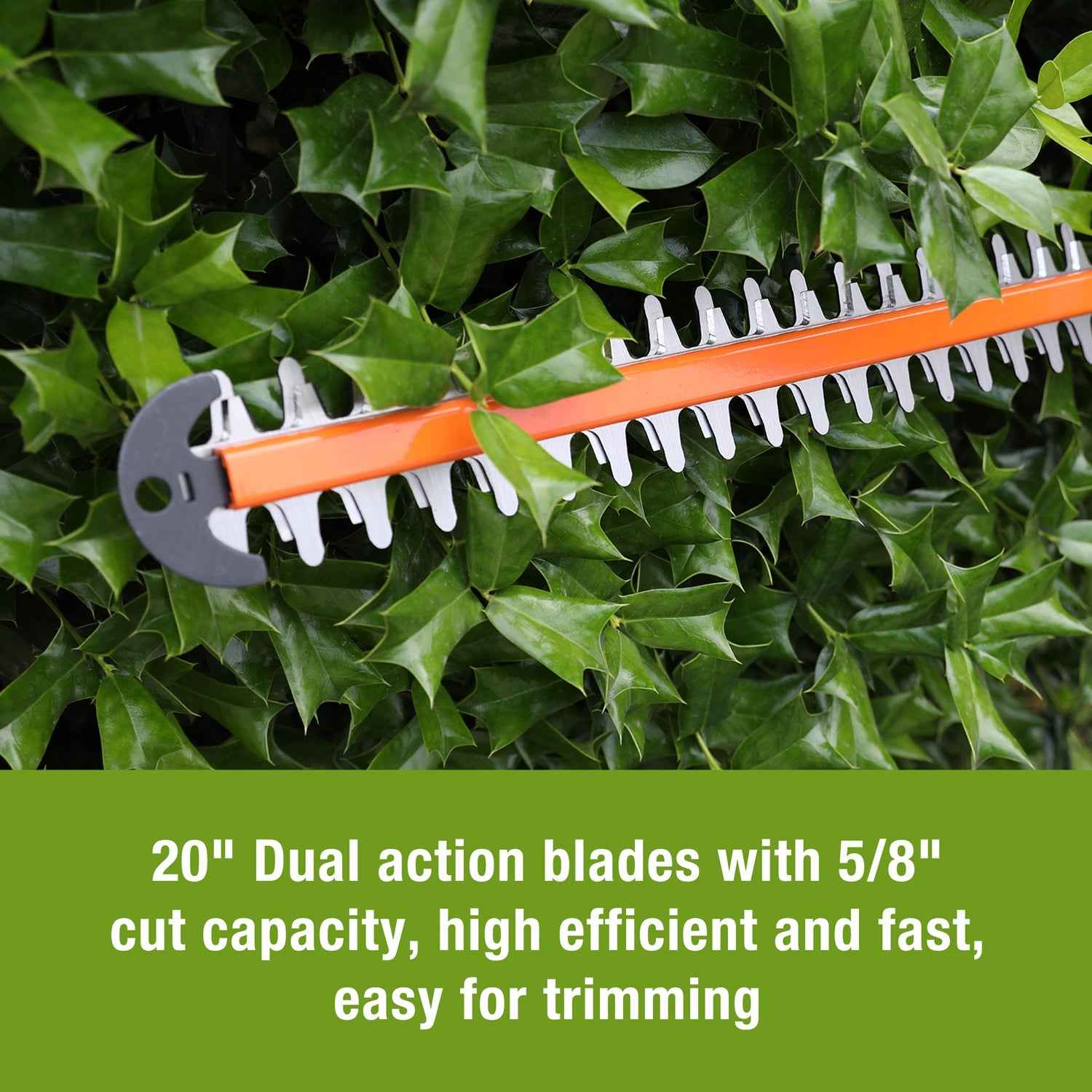 WORKPRO 20V Cordless Hedge Trimmer, 20" Dual Action Blades Electric Hedge Trimmer, with Battery and Charger