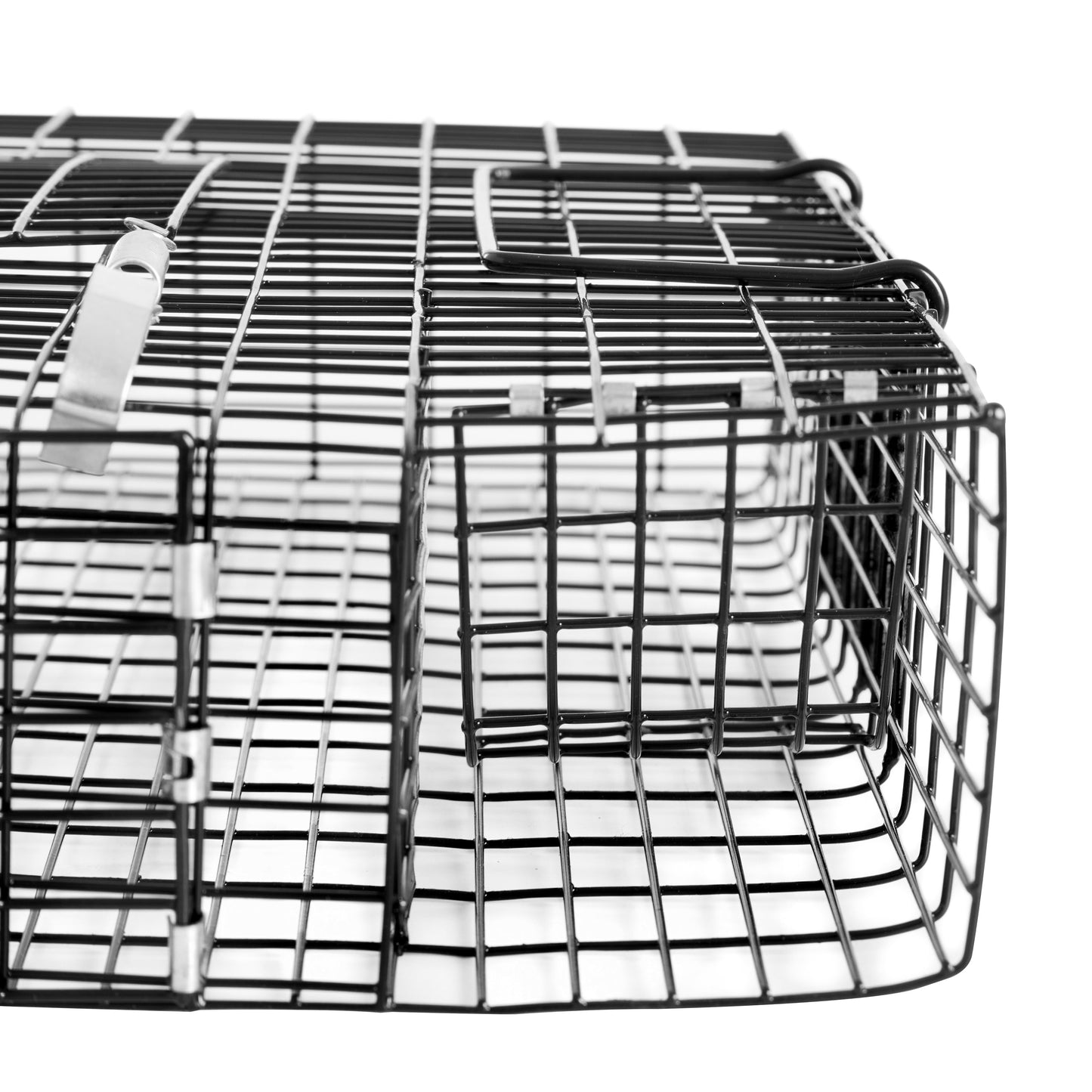 Rugged Ranch Chipmunkinator Chipmunk Squirrel Metal 2 Door Trap Cage (4 Pack)