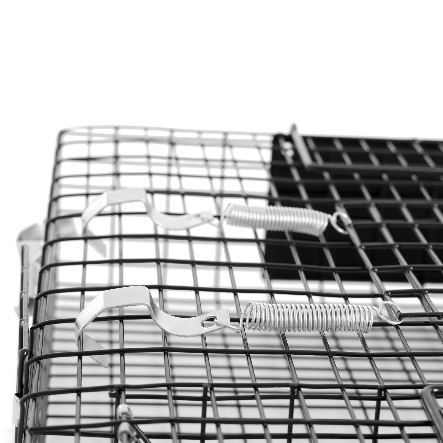 Rugged Ranch Chipmunkinator Chipmunk Squirrel Metal 2 Door Trap Cage (4 Pack)