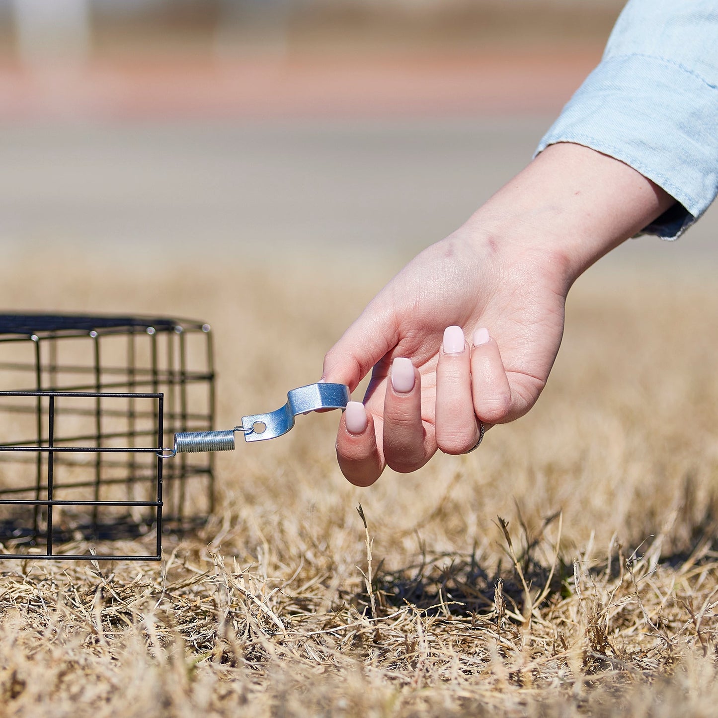 Rugged Ranch Squirrelinator Squirrel Chipmunk Metal 2 Door Trap Cage (4 Pack)