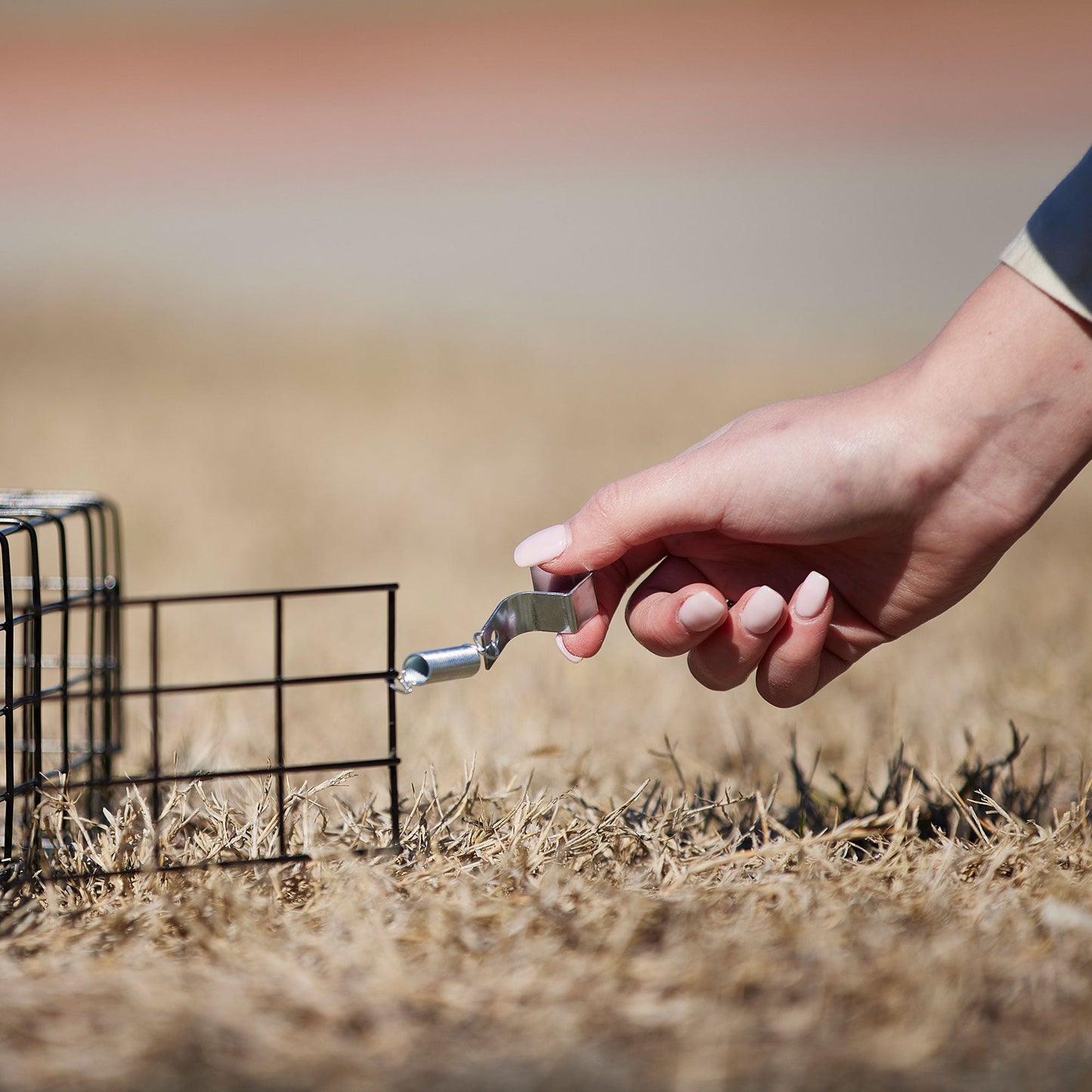 Rugged Ranch Squirrelinator Squirrel Chipmunk Metal 2 Door Trap Cage (4 Pack)