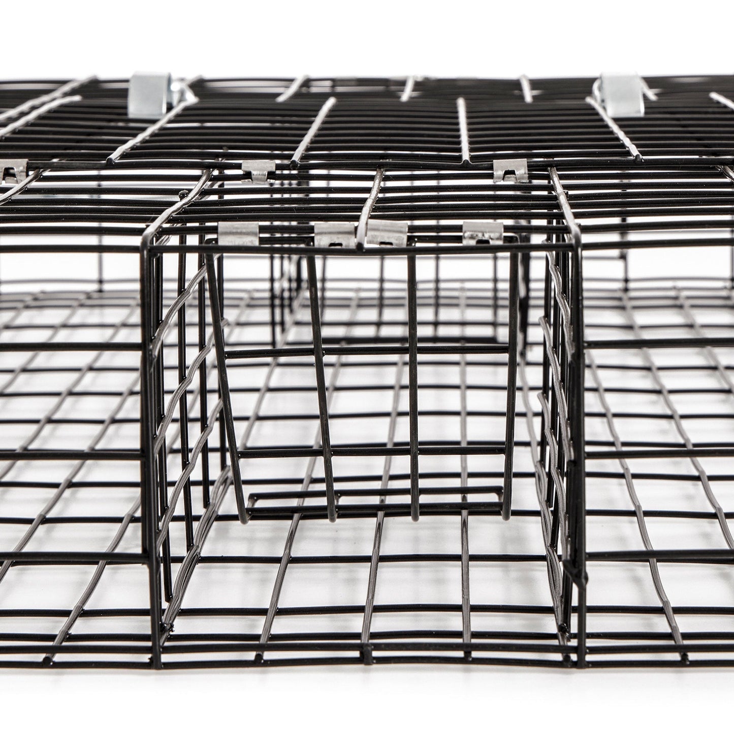 Rugged Ranch Squirrelinator Squirrel Chipmunk Metal 2 Door Trap Cage (4 Pack)