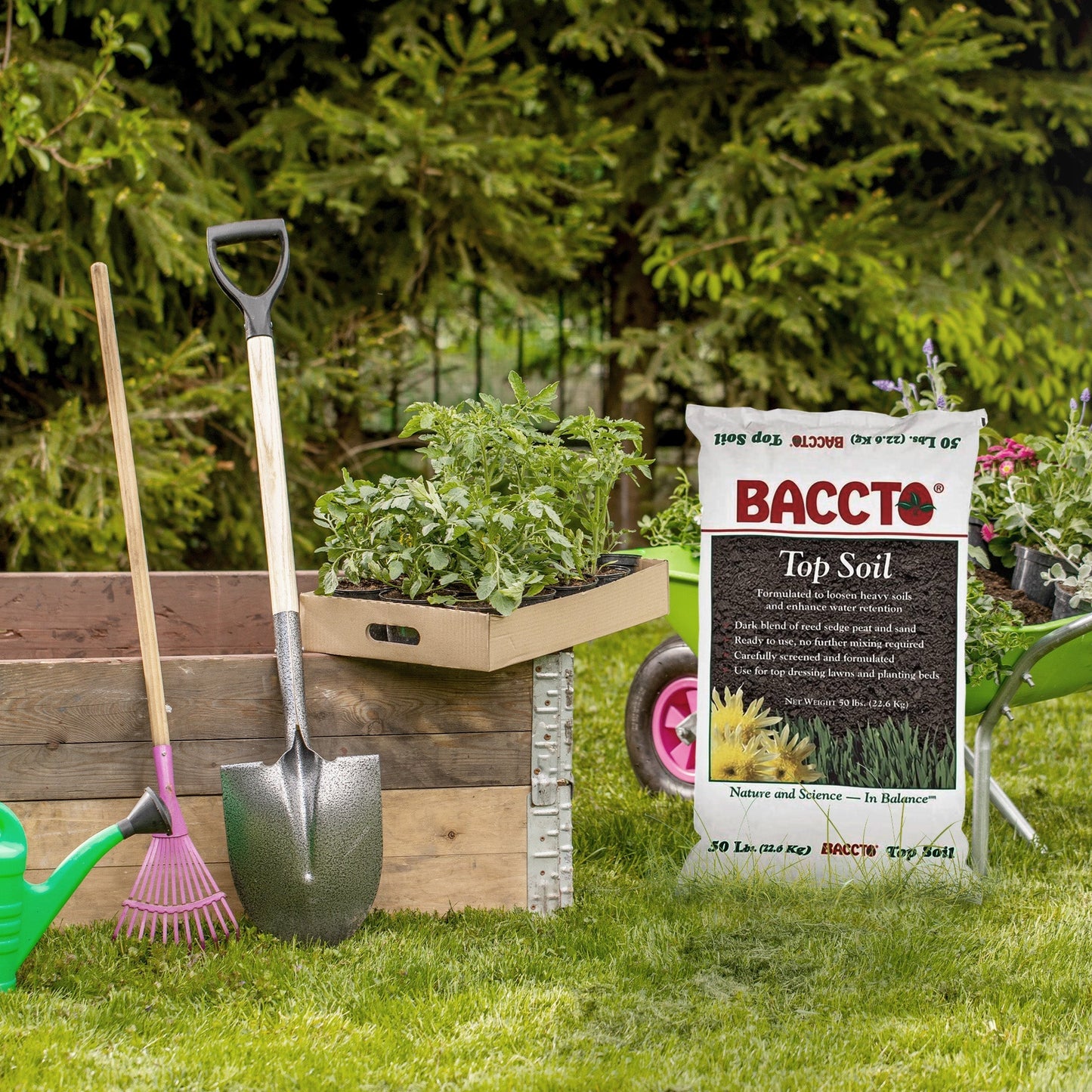 Michigan Peat Baccto Topsoil with Reed Sedge, Peat and Sand, 50lbs (8 Pack)