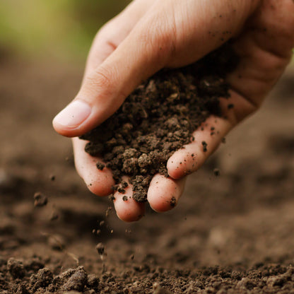 Michigan Peat Garden Magic General Purpose Potting Soil Mix, 20 lb Bag, 120 Pack