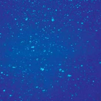 NEW! AMERICAN DJ SNOW GAL Snow Fluid Juice One Gallon for VF Snow Flurry Machine