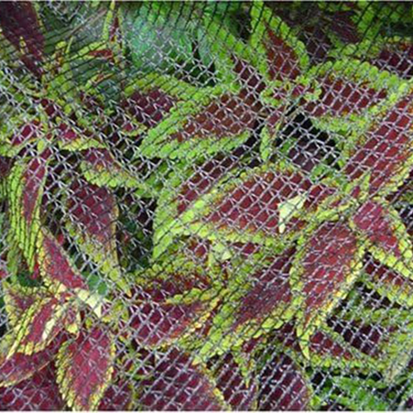 DeWitt 14x45 Ft Deluxe Bird Barricade, Garden Mesh Netting for Plant Protection