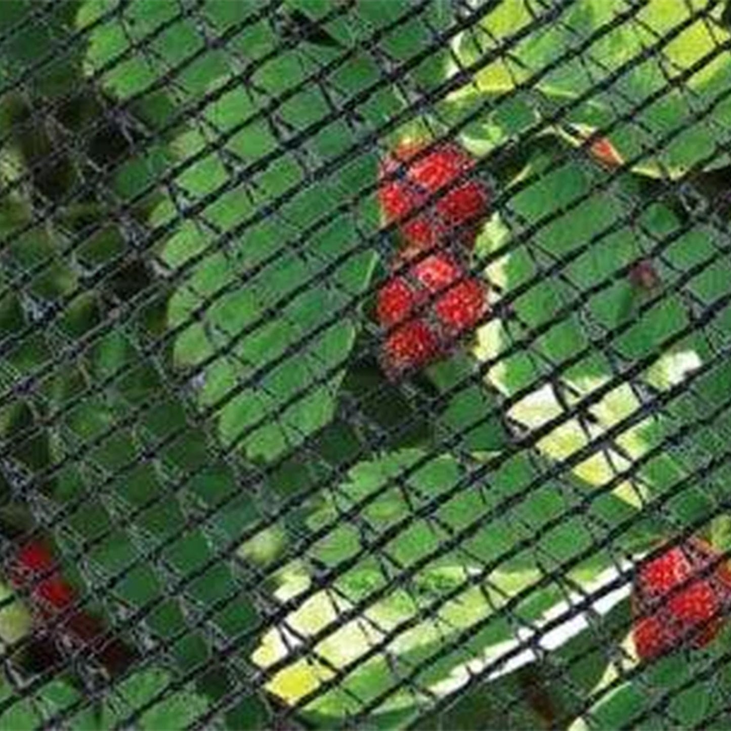 DeWitt 14x45 Ft Deluxe Bird Barricade, Garden Mesh Netting for Plant Protection
