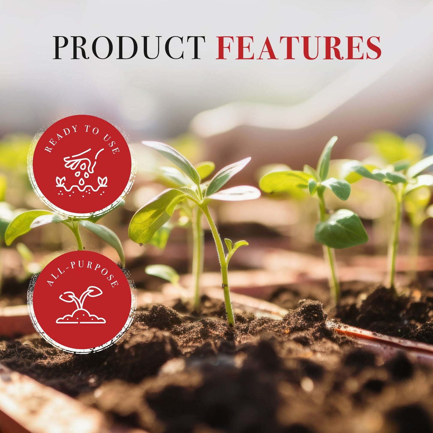 Michigan Peat Baccto Topsoil with Reed Sedge, Peat and Sand 50lbs (6 Pack)