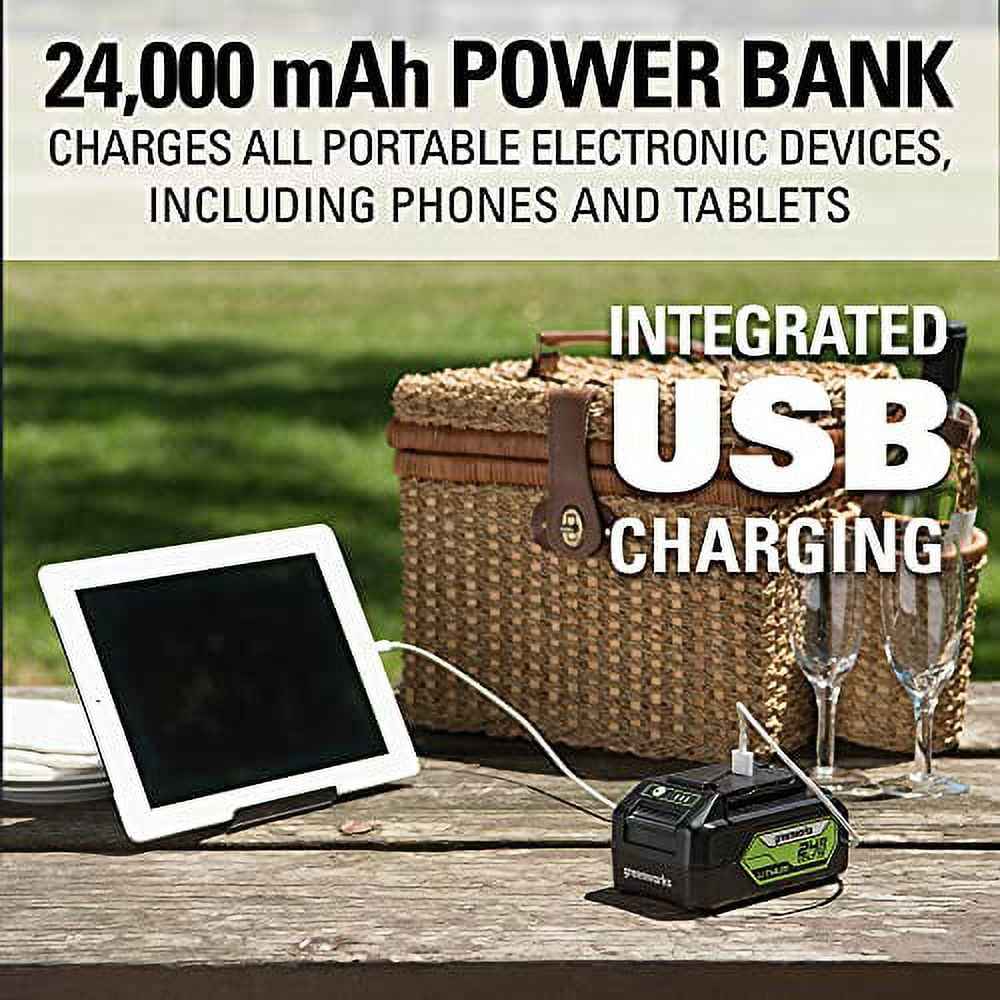 Greenworks 24V 12" Brushless Chainsaw + 4.0 Ah Battery and Charger 2016602