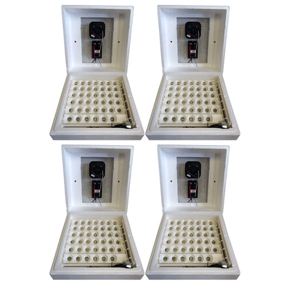 Farm Innovators 2450 Circulated Air Incubator w/ Auto Egg Turner, White (4 Pack)
