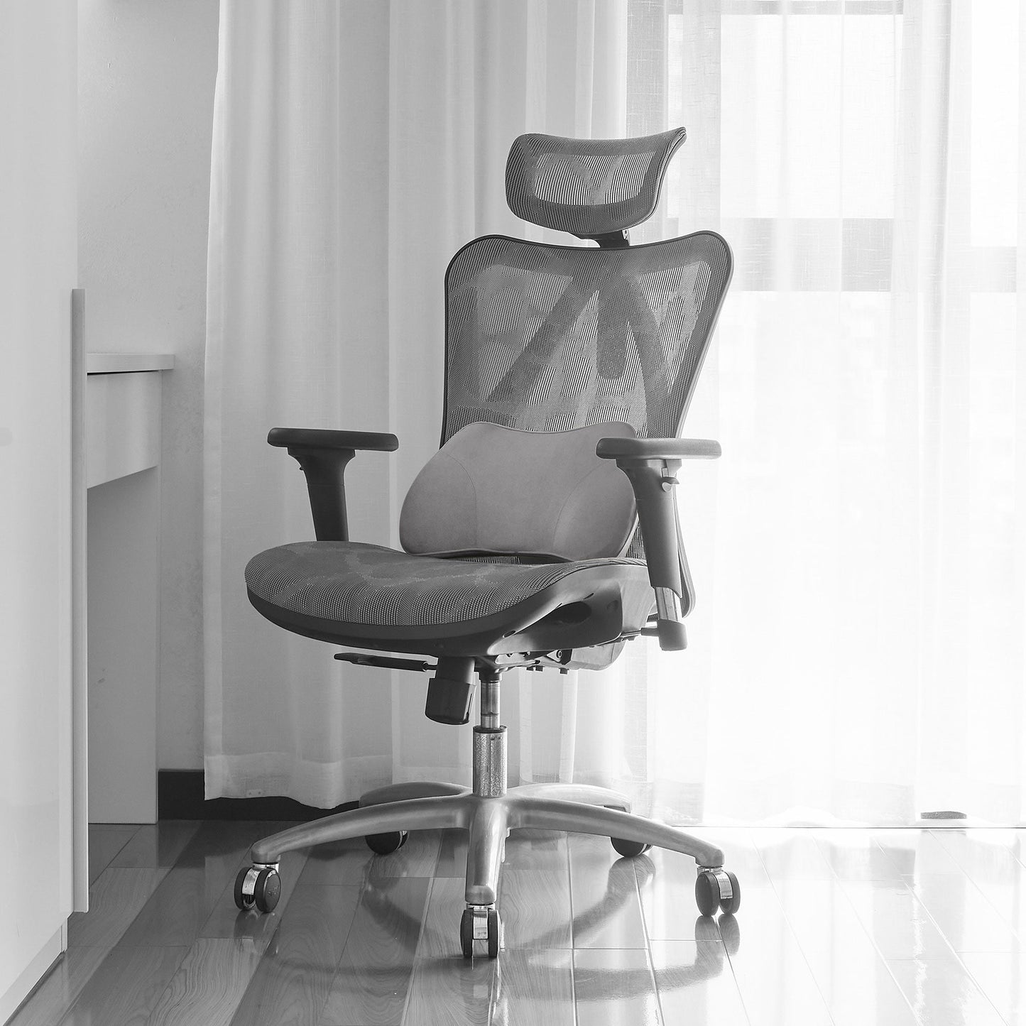 WENNEBIRD Model B Lumbar Memory Foam Support Pillow to Improve Posture, Grey