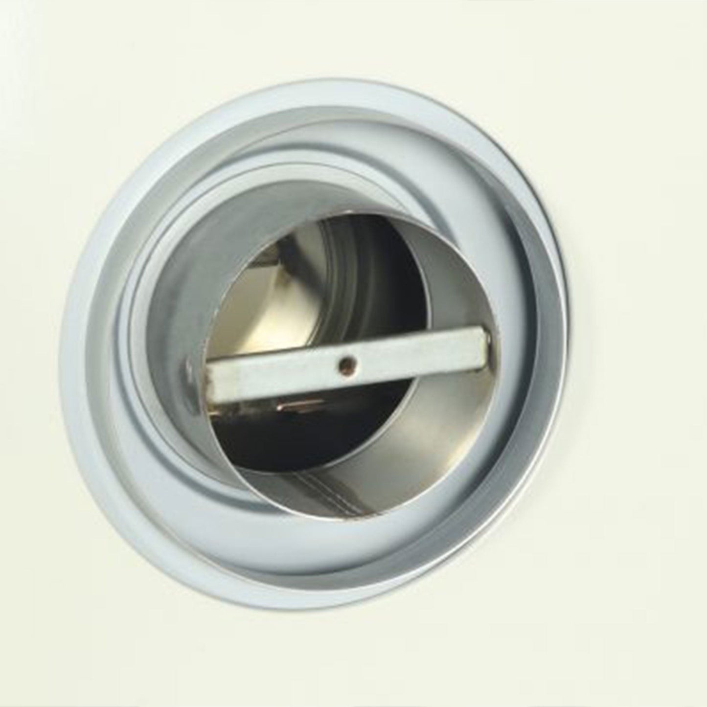 Ashley Hearth Products 17,000 BTU Direct Vent Liquid Buddy Propane Wall Mount Heater