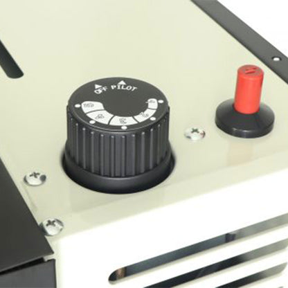 Ashley Hearth Products 17,000 BTU Direct Vent Liquid Buddy Propane Wall Mount Heater