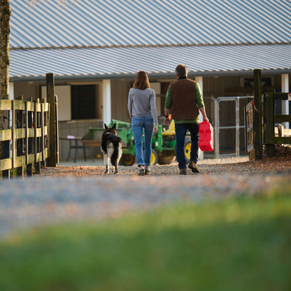 Scepter SmartControl Dual Handle Gasoline Can Container Jug, 5 Gal/18.9L, Red - Find Fresh Goods