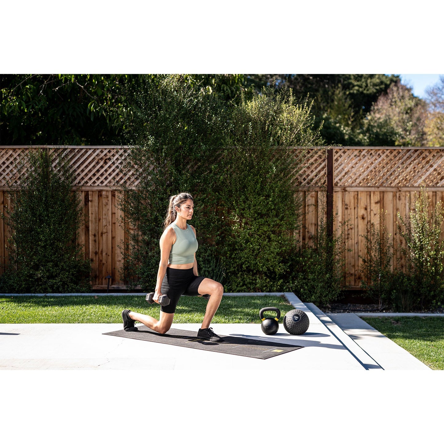 TRX Hex Rubber 20 Pound Dumbbell Weight Strength Training Workout Equipment