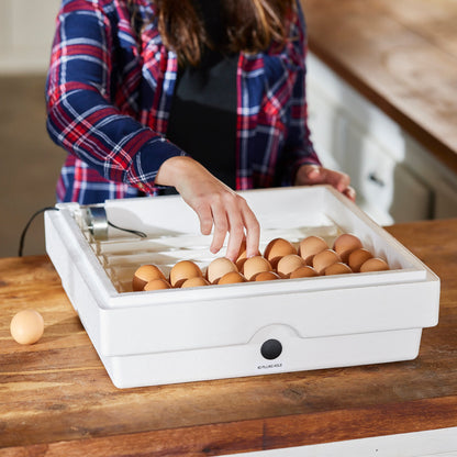 Farm Innovators 3200 Automatic 41 Spot Egg Turner for Improved Hatching, White