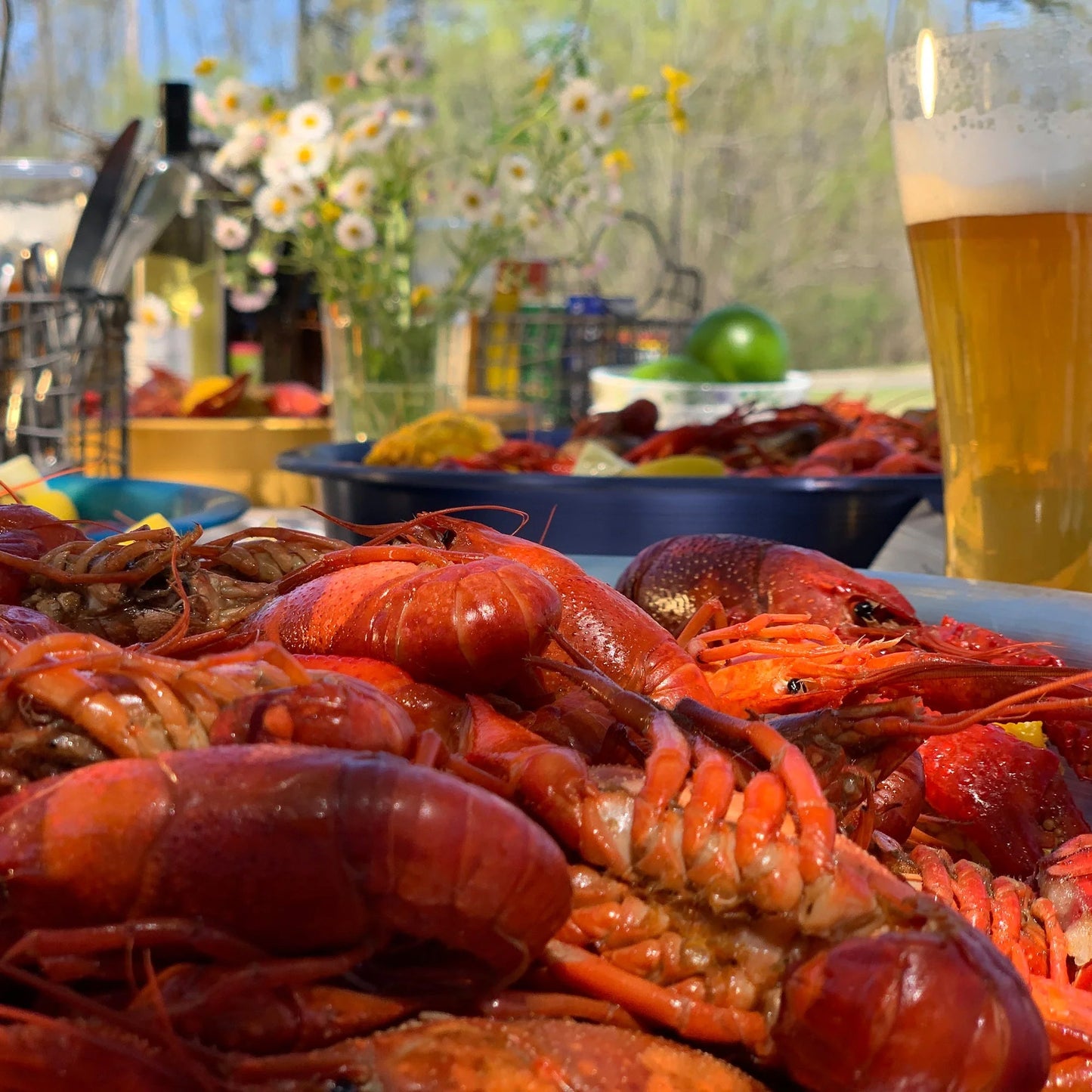 Bayou Classic 22" Stainless Banjo Cooker with Broad Flame for Outdoor Cooking