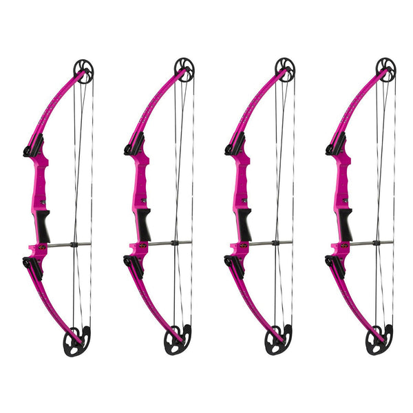 Genesis Archery Compound Bow Adjustable Sizing for Right Handed, Purple (4 Pack)