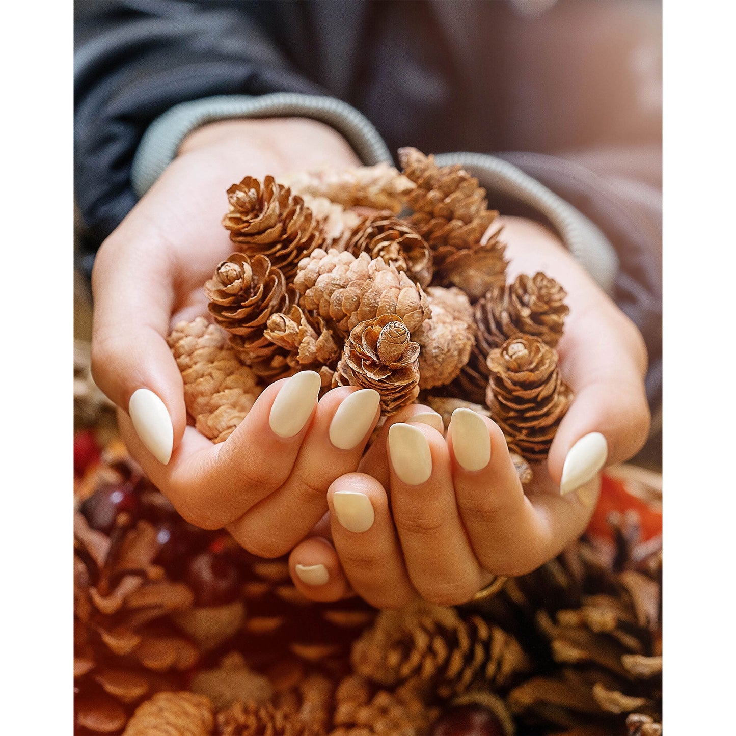 Morgan Taylor Fall 2023 Change of Pace Nail Lacquer Polish Manicure Set 3 Pack - Find Fresh Goods