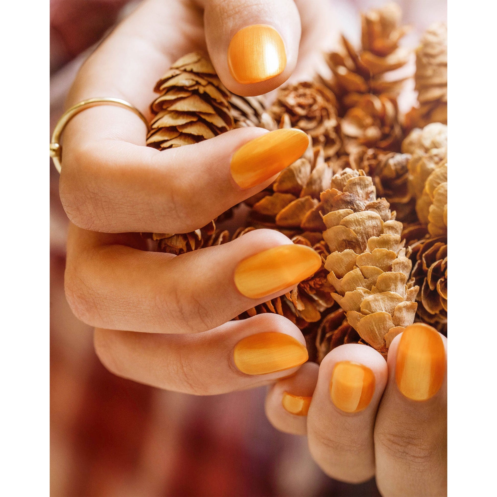 Morgan Taylor Fall 2023 Change of Pace Nail Lacquer Polish Manicure Set 3 Pack - Find Fresh Goods