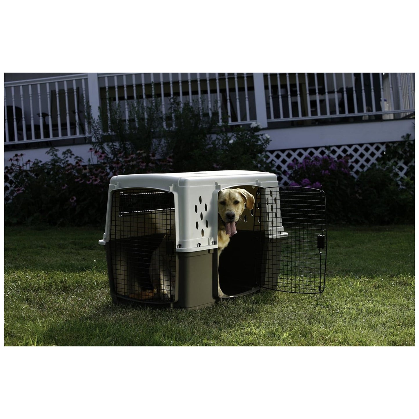 Pet Lodge 2-Door Pet Crate, Airline Approved Dog & Cat Carrier for Travel, XL