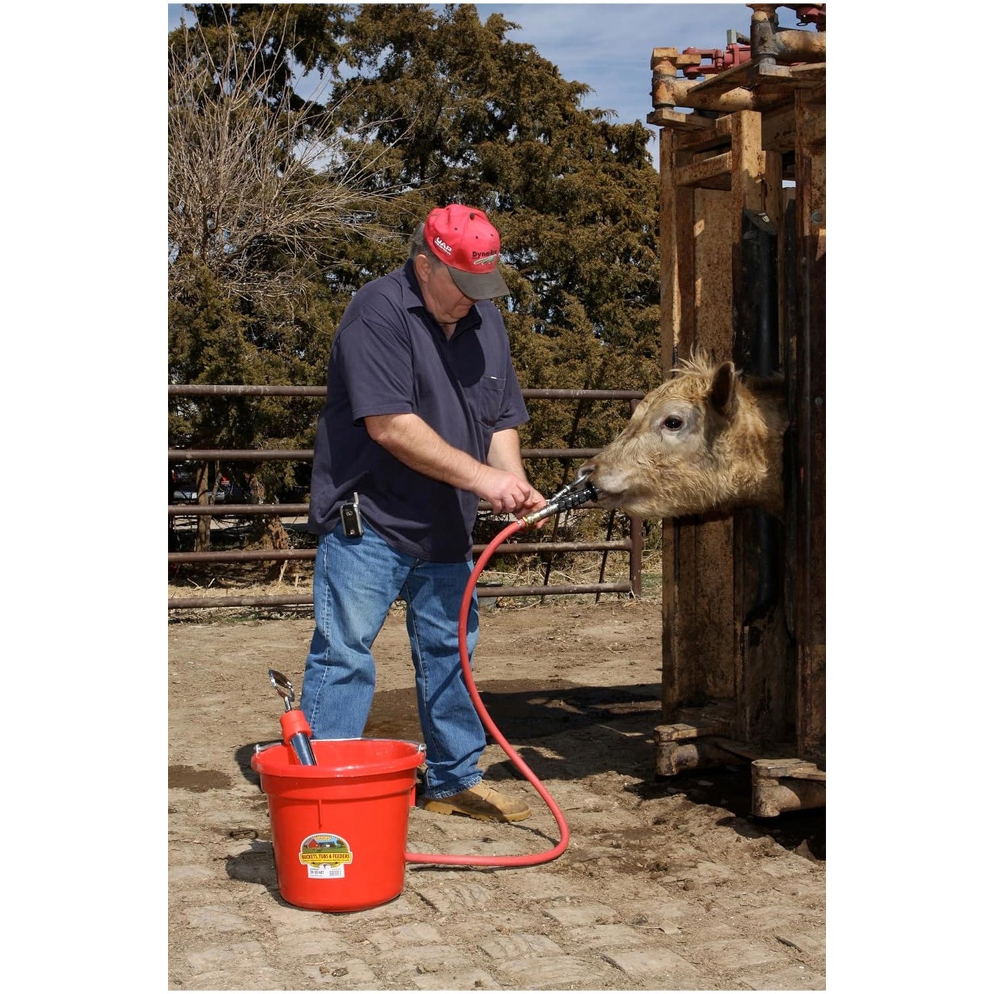 Springer Magrath Complete CPS Cattle Pump System, Administers Fluids to Animals