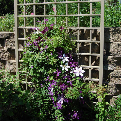 Dura-Trel Winchester 57 x 95 Inch PVC Vinyl Outdoor Garden Patio Trellis, Mocha