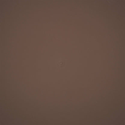 The HC Companies Classic 21" Deep Plastic Round Plant Pot Saucer, Brown (2 Pack)