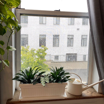 HC Companies 30 Inch Fluted Plastic Venetian Garden Flower Window Box (3 Pack)