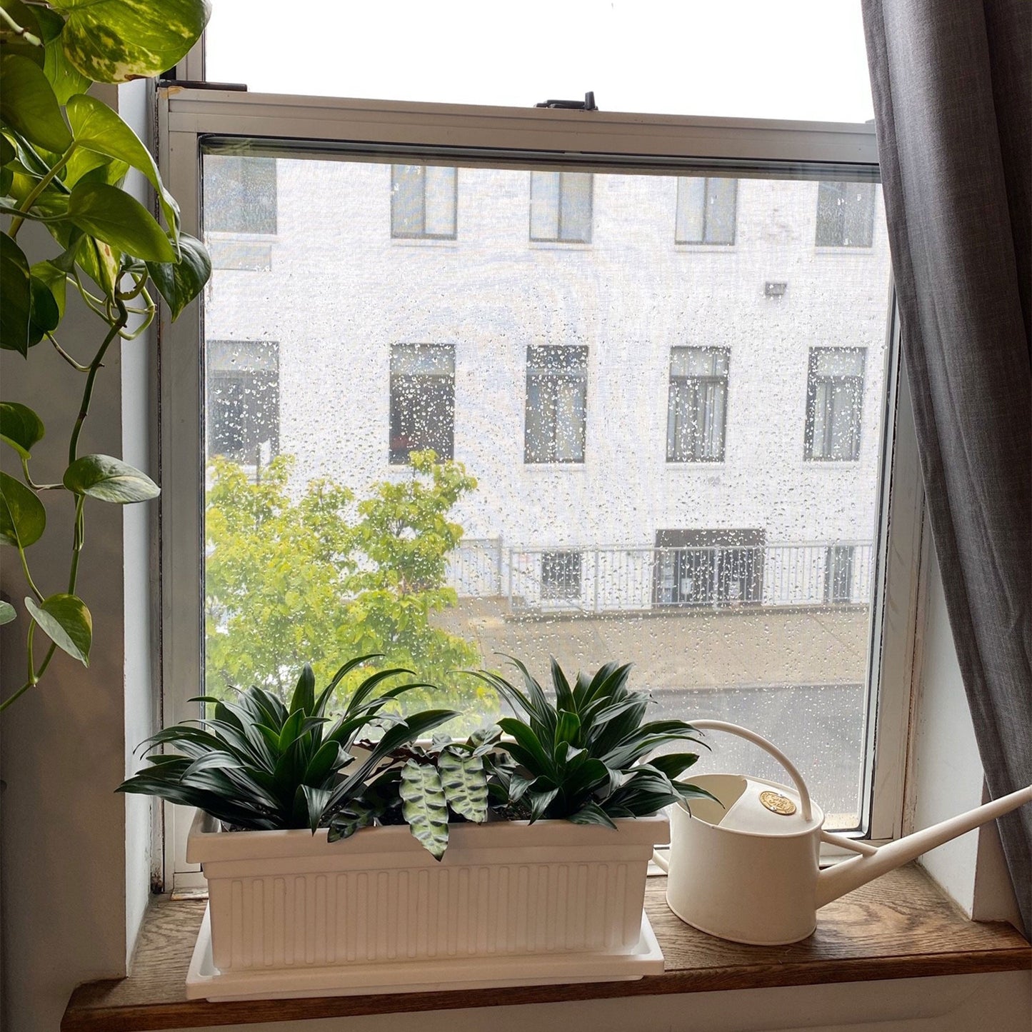 HC Companies 30 Inch Fluted Plastic Venetian Garden Flower Window Box (6 Pack)