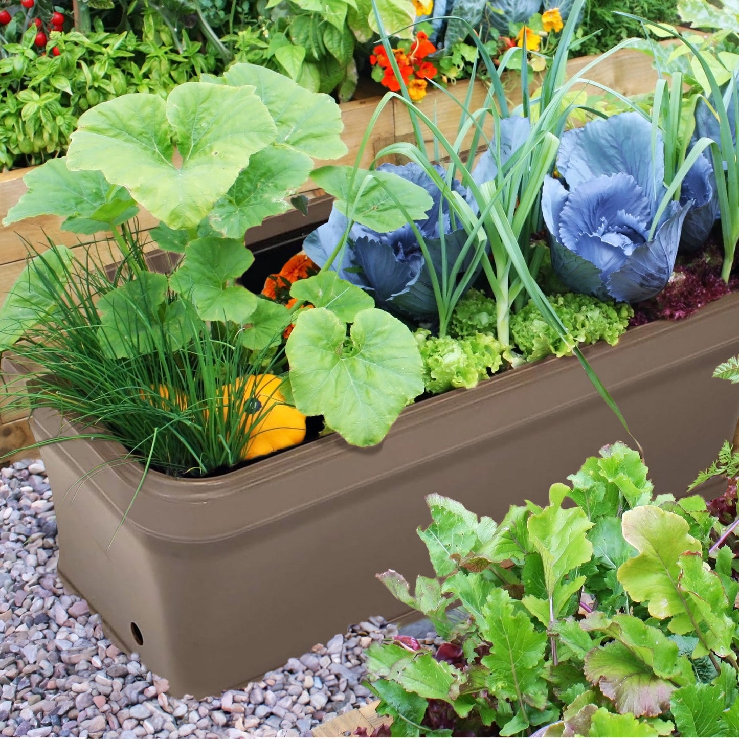 FCMP 32 Inch Outdoor Long and Deep Self Watering Vegetable Planter, Cappuccino