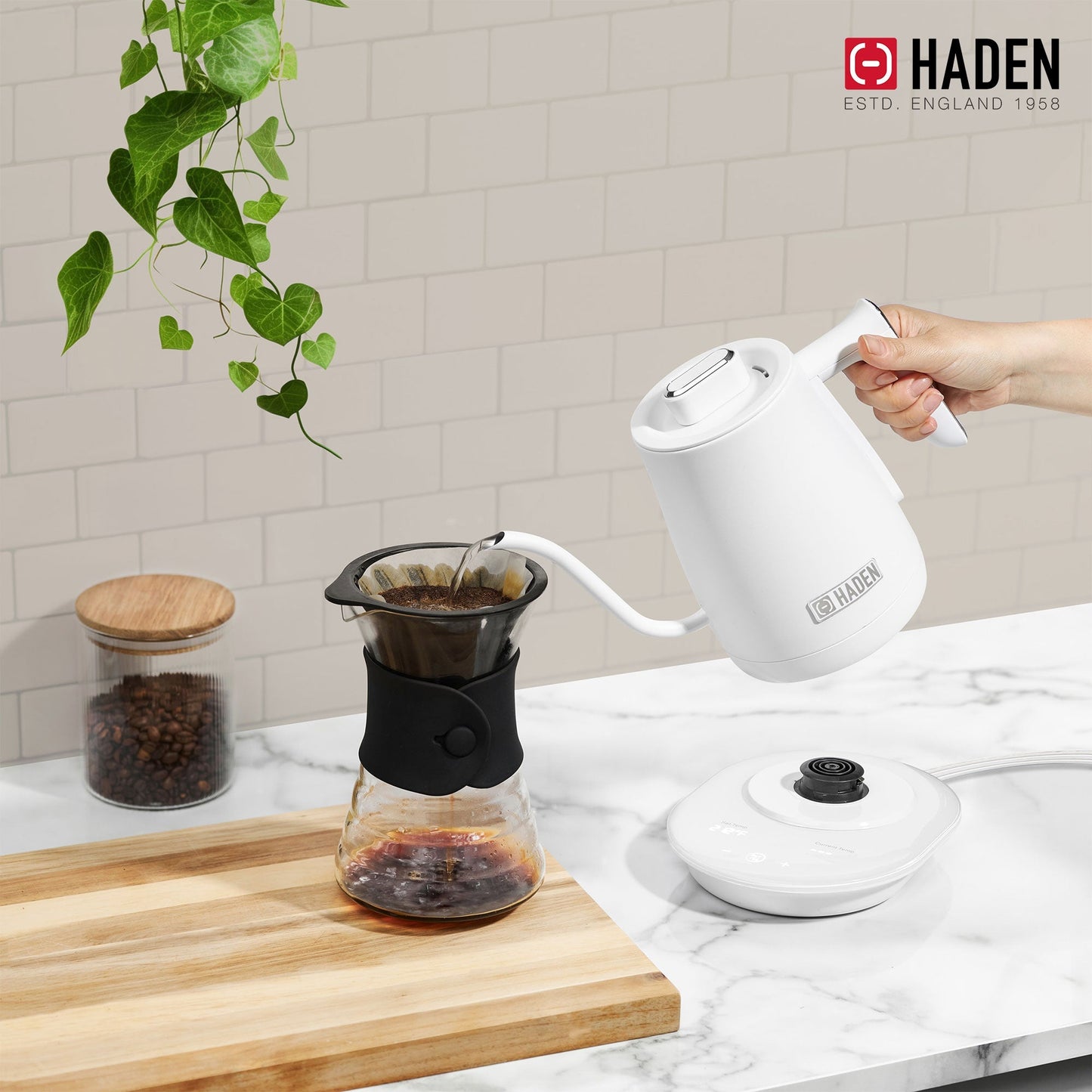 Haden Electric Tea Kettle, Gooseneck Hot Water Boiler, 0.6L Teapot, Ivory/Chrome