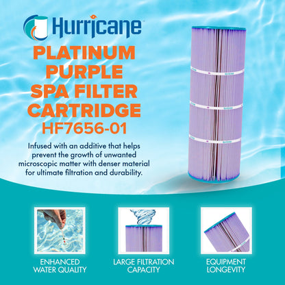 Hurricane 2 Pack HF7656-01P Platinum Purple Pool Filter Cartridge Replacement