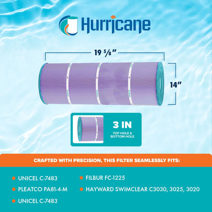 Hurricane 12 Pack HF7483-04P Platinum Purple Pool Filter Cartridge Replacement
