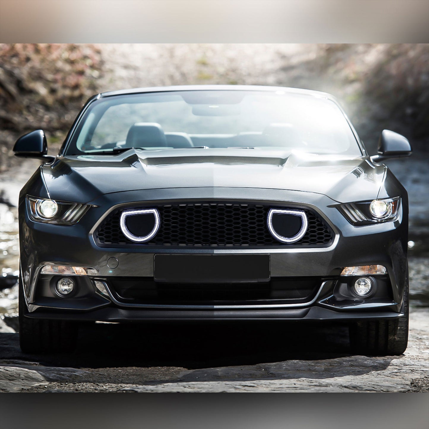 AMERICAN MODIFIED Front Grille for 2013-2014 Ford Mustang GT V6, Matte Black - Find Fresh Goods