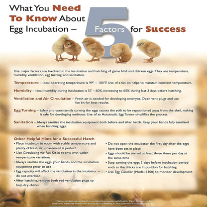 Farm Innovators 40W Digital Circulated Air Incubator for Up to 4 Eggs (3 Pack)