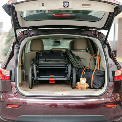 Larktale Caravan V3 Stroller, 2-Seater Kids Wagon, 207lb Capacity, Chelsea Green