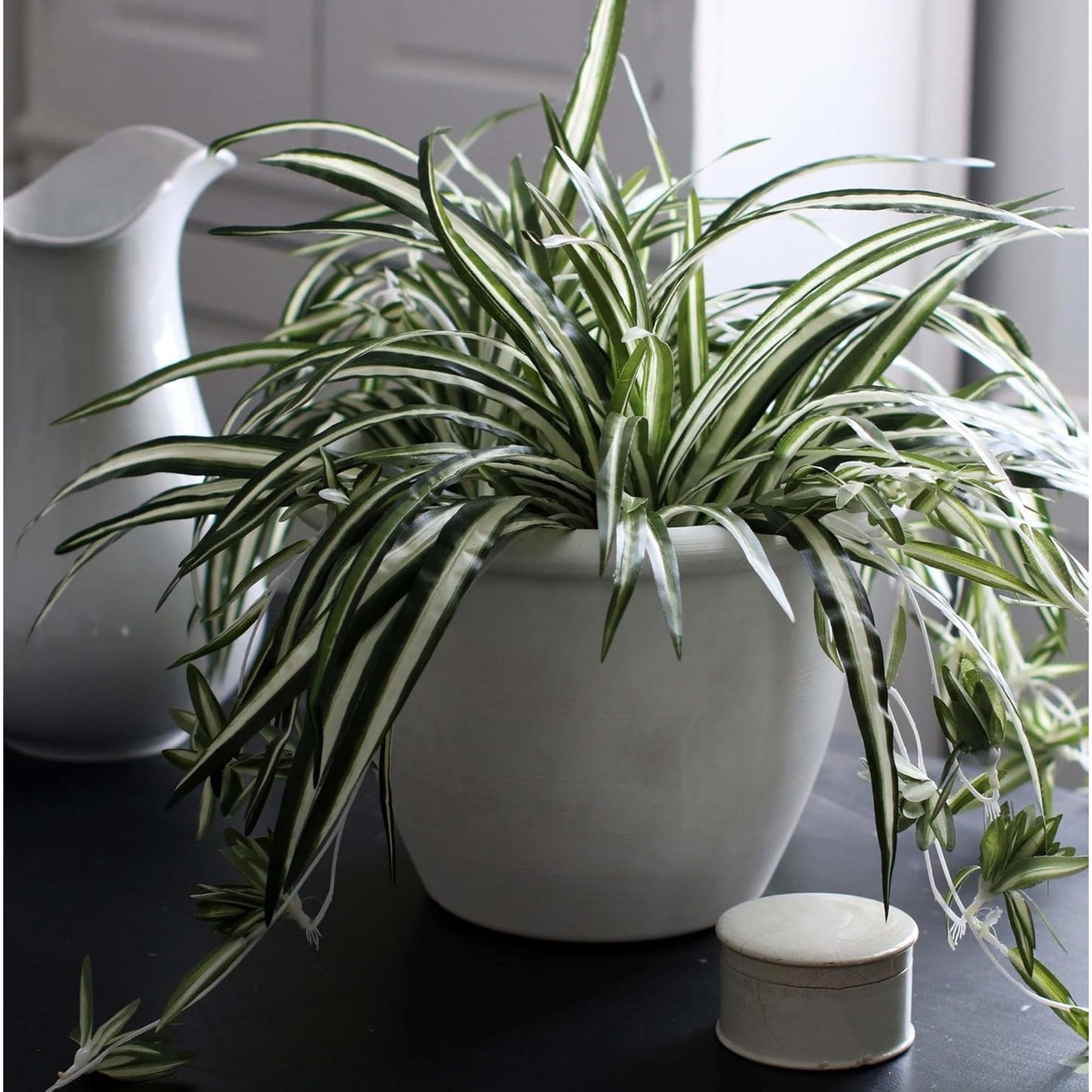 The HC Companies Sevilla Self-Watering Pot with Internal Disk, 12 Inch, White