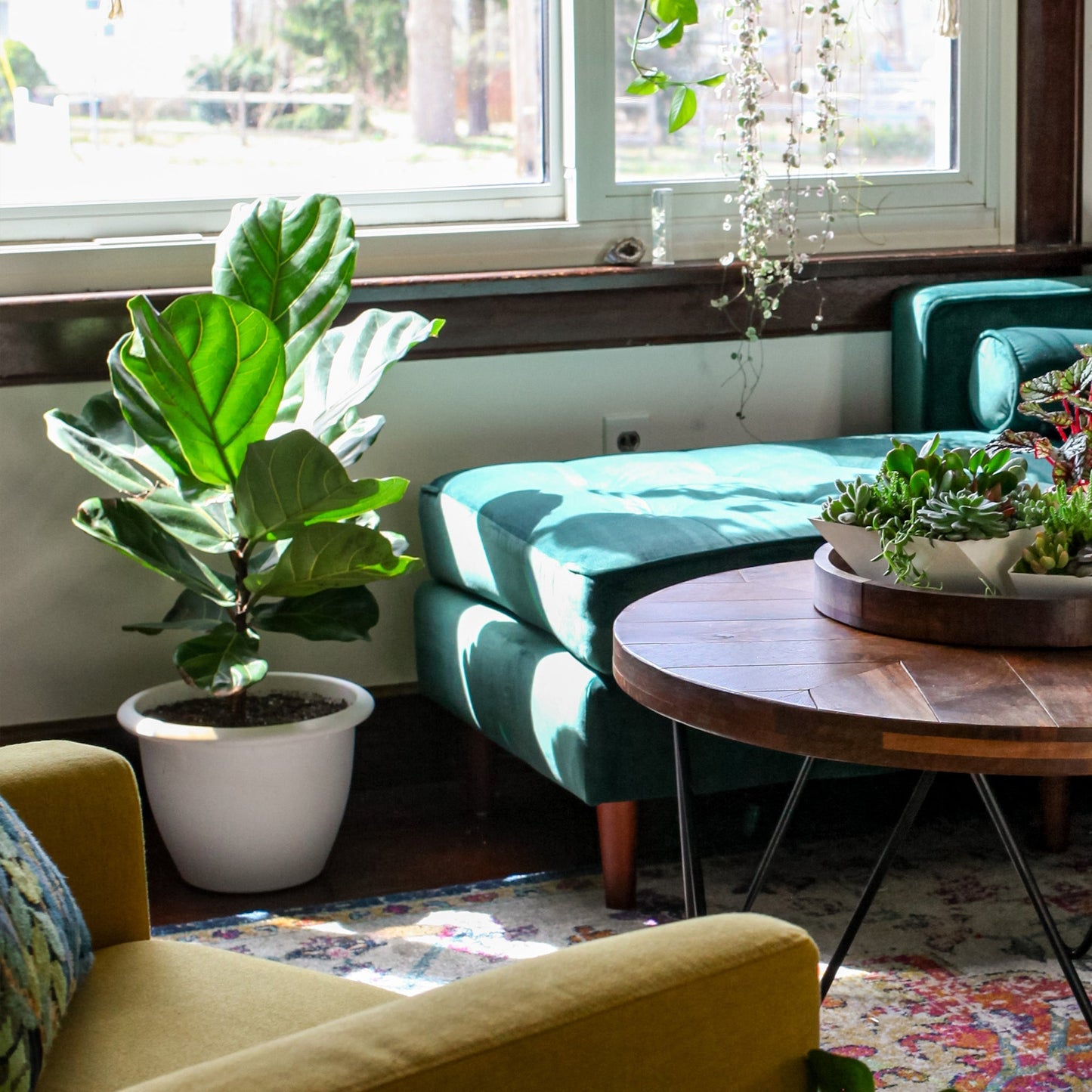 The HC Companies Sevilla Self-Watering Pot with Internal Disk, 16 Inch, White