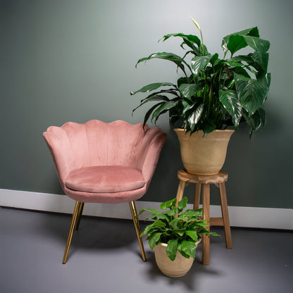 The HC Companies Sierra Self-Watering Pot with Internal Disk, 13", Arizona Sand