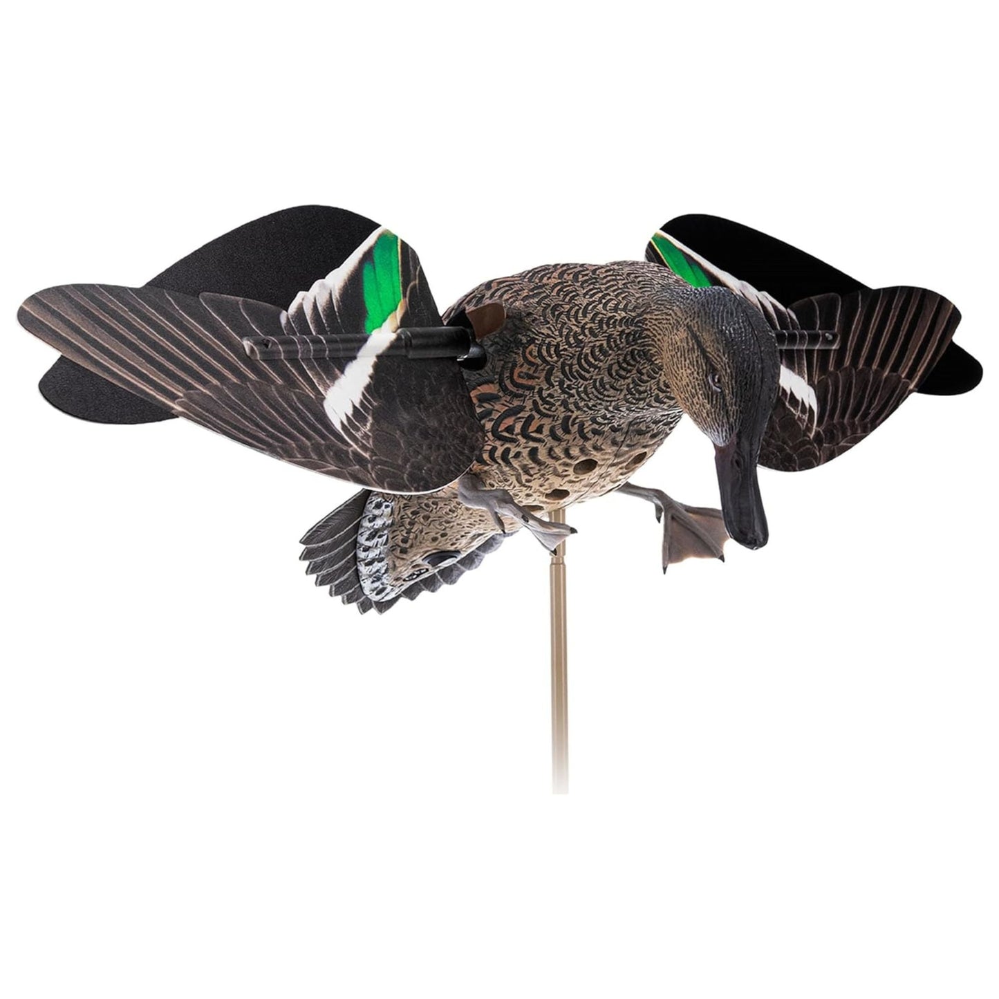 Avian X Powerflight Hen Teal Green Wing Duck Decoy with Wings, Stake & Carry Bag