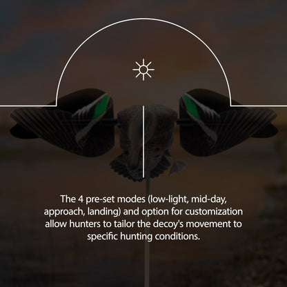 Avian X Powerflight Hen Teal Green Wing Duck Decoy with Wings, Stake & Carry Bag