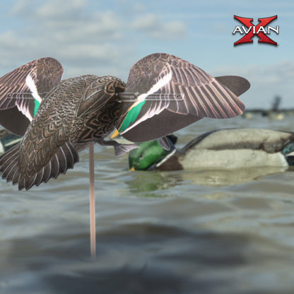 Avian X Powerflight Hen Teal Green Wing Duck Decoy with Wings, Stake & Carry Bag