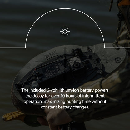 Avian X Power Swimmer Mallard Drake Motion Duck Decoy with 10+ Hour Battery